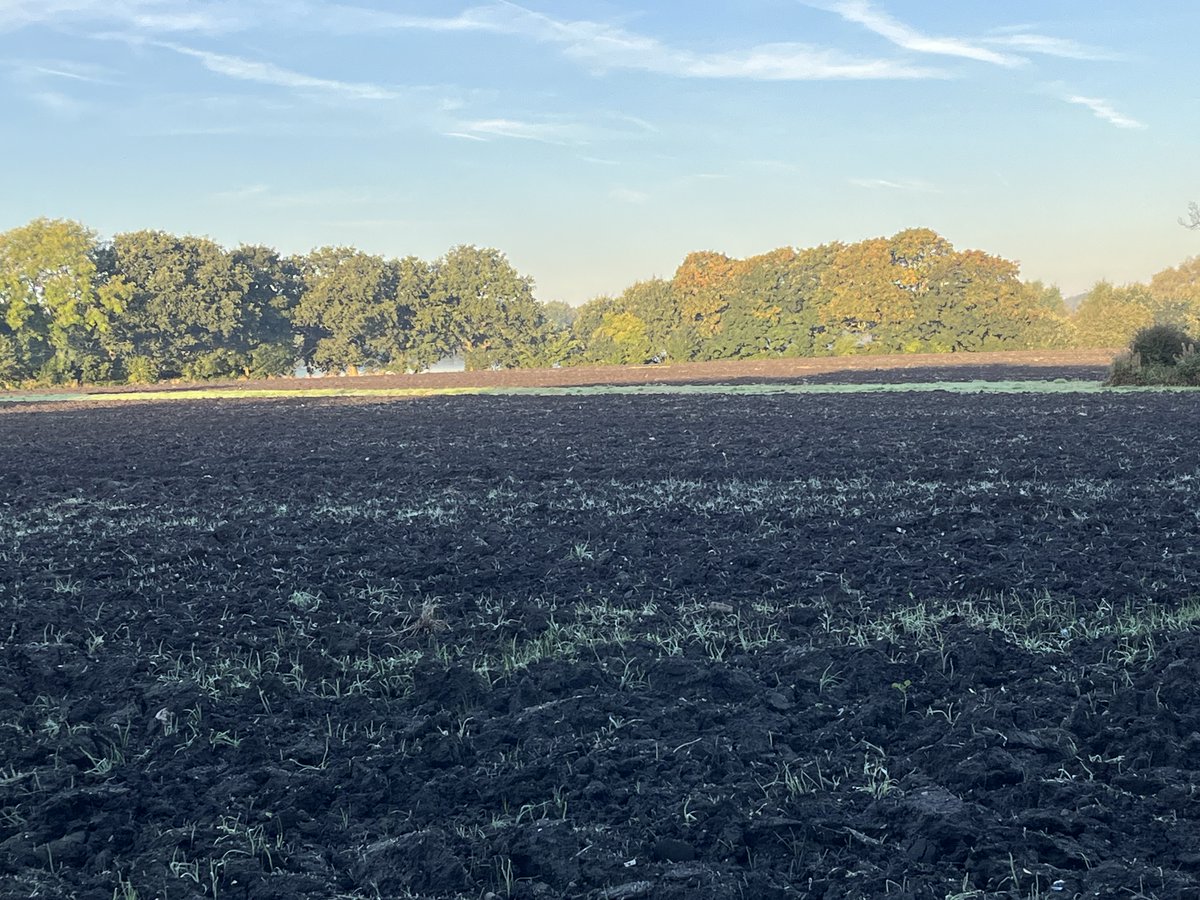 IrriSmart-UK tweet media