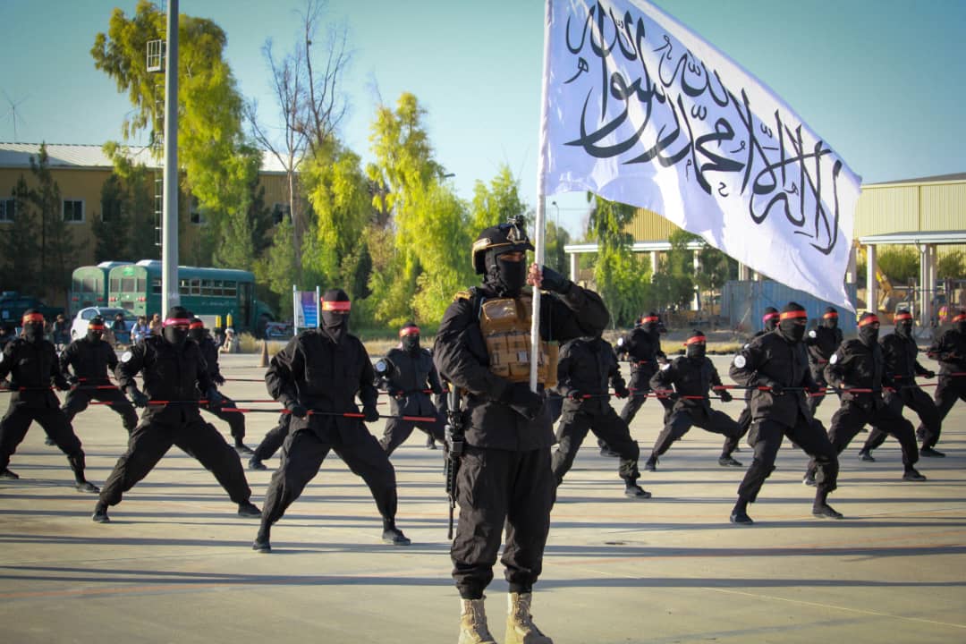M.Abdul Mateen Qani مفتي عبدالمتين قانع tweet media