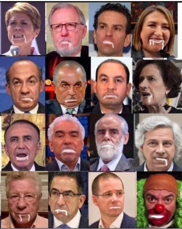 pplpoo12's tweet photo. @lopezdoriga @Alfredo_Maza_ @Pajaropolitico Ahi estas sacando espuma, garganta de vagina. https://t.co/CLSp4e0fBd