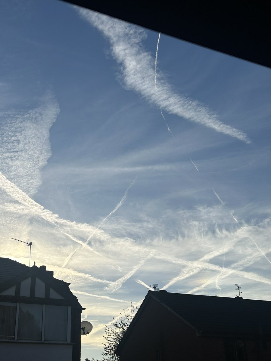 Sacred Ground tweet media