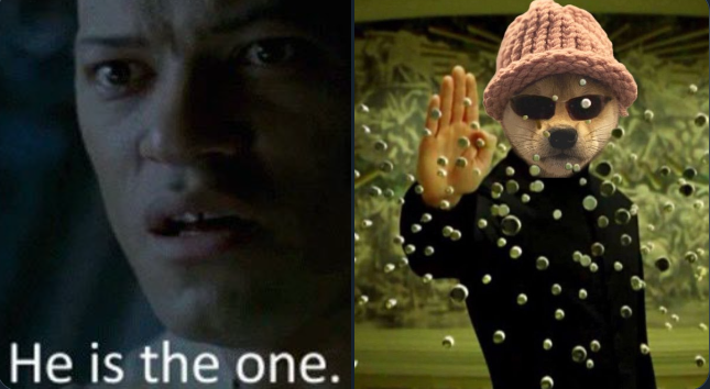 Documenting dogwifhat 📄🐶🧢 tweet media