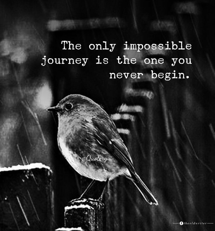 inspiredailyinx's tweet photo. 🌟 Boost your day with inspiration! 🌟

Follow @inspiredailyinx for daily motivational quotes and positive vibes. 💪✨

💬 Share what inspires you!

🔄 Retweet &amp; spread positivity!

#Motivation #DailyQuotes #PositiveVibes #FollowForMore #MotivationalQuotes #InspireDaily https://t.co/7muSWZ8G6a