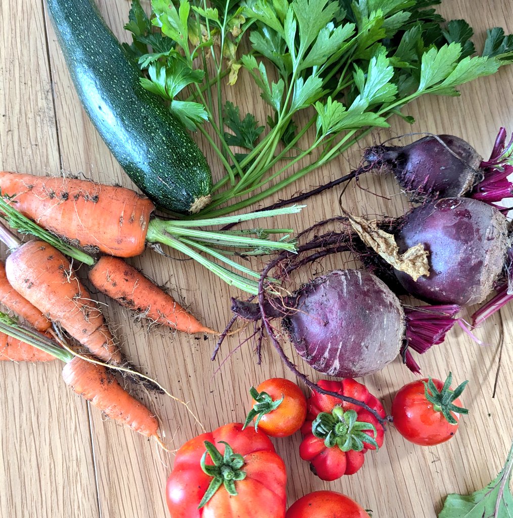 Rebecca Leek tweet media