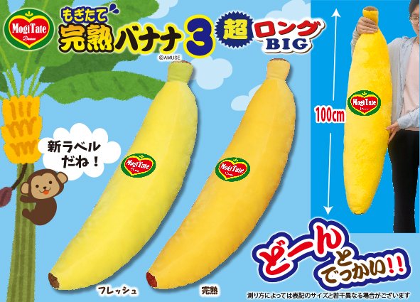 もみじ様、専用出品◆伝統・島バナナ＆ナムワアイス・ヌアンジュンバナナ◆120cm もみじ様専用 もみじ様、専用出品◇伝統・島バナナ＆ナムワアイス