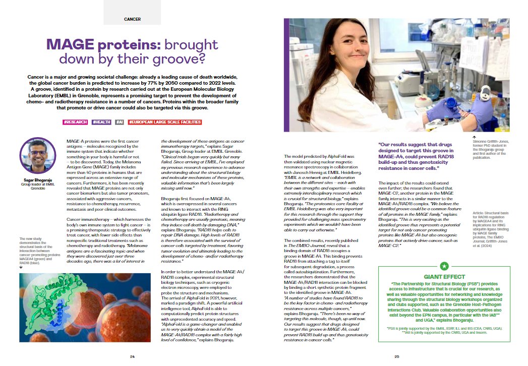 The latest issue of the GIANT magazine highlights the research of the Bhogaraju group. Read more 👇

MAGE proteins: brought down by their groove?: giant-grenoble.org/article-revue-… via <a href="/GIANTcampus/">GIANT Innovation Campus</a> 
<a href="/embl/">EMBL</a>