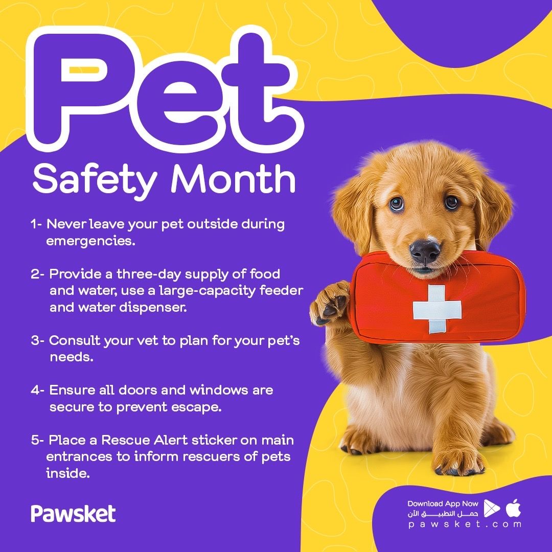 pawsket's tweet photo. 🚨 September is Pet Safety Month! 🐕🐈 Check out our safety checklist to keep your pets happy and healthy. #PetSafetyMonth #PawsketCares https://t.co/8hzdLMmAnl