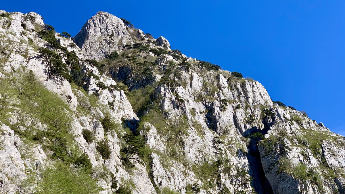 sentieripollino's tweet photo. Il #montealpi, con le sue due cime gemelle  #pizzofalcone (1900 m) e #santacroce (1893 m). Si contraddistingue per i versanti molto differenti tra loro...

Per altre foto e per approfondire 👇
https://t.co/hhwbQD0o69

Foto AltiPassi !!

#escursionismo #escursioniguidate https://t.co/kB6VVDAwE6