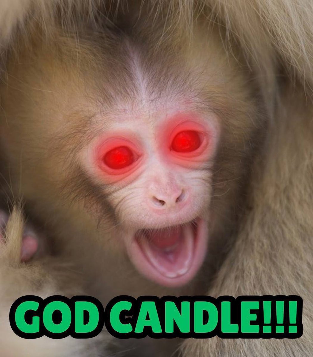 <a href="/IZADI/">IZADI</a> <a href="/dlordink/">DLORDINK</a> <a href="/SeanKeith_Art/">Sean Keith</a> <a href="/GraffitiMansion/">Graffiti Mansion</a> <a href="/realDonaldTrump/">Donald J. Trump</a> <a href="/bonkeyonsolana/">Bonkey on SOL</a>
Eat, Buy $BONKEY, repeat 
Website: bonkey.wtf
📃 CA: 
6y4rgKVoPUc8HMcnWfca8siuBa3gAjxNaRrHxVmMpump