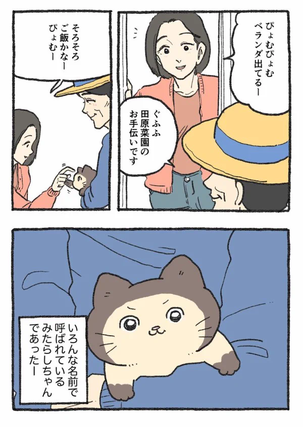やじま@ねこおじ7・8巻発売中🐱 on X: 