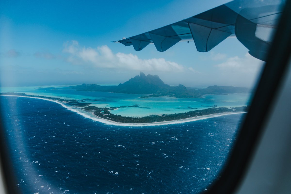 GABE MCASIAN △ tweet media