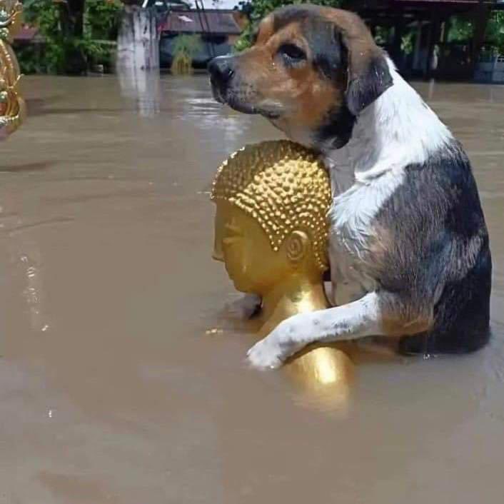 คุณพระช่วย.