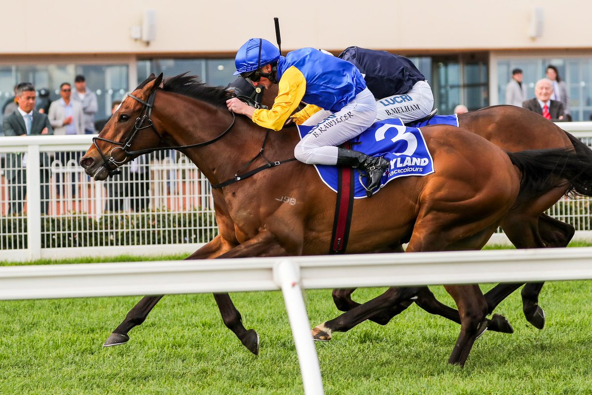 Aushorse (@aushorse_tba) on Twitter photo This weekend donโt miss the $750K Group One 1800m Underwood Stakes. First run in 1924, this race boasts a rich history of remarkable winners.
Legends like Phar Lap, Ajax (thrice), Northerly (twice), and So You Think have all left their mark. However, Black Heart Bart stands out This weekend donโt miss the $750K Group One 1800m Underwood Stakes. First run in 1924, this race boasts a rich history of remarkable winners.
Legends like Phar Lap, Ajax (thrice), Northerly (twice), and So You Think have all left their mark. However, Black Heart Bart stands out