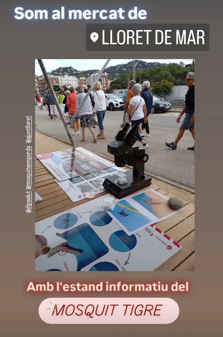 programatigre tweet media