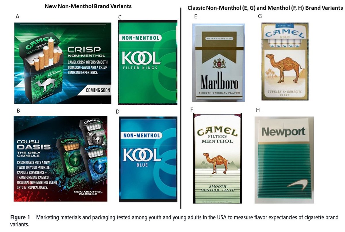 Latest News: Following California’s ban on flavoured tobacco products, at least one-third of respondents viewing the ads/packages for new non-menthol brand variants in this study expected each to have a minty or menthol taste, despite non-menthol descriptors featured on the