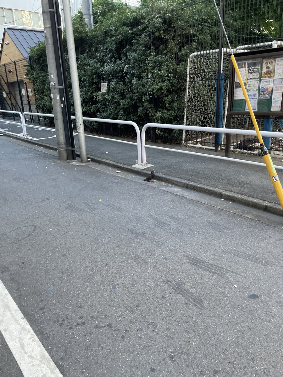 最近デリ忙しかったけど久しぶりにきてる！