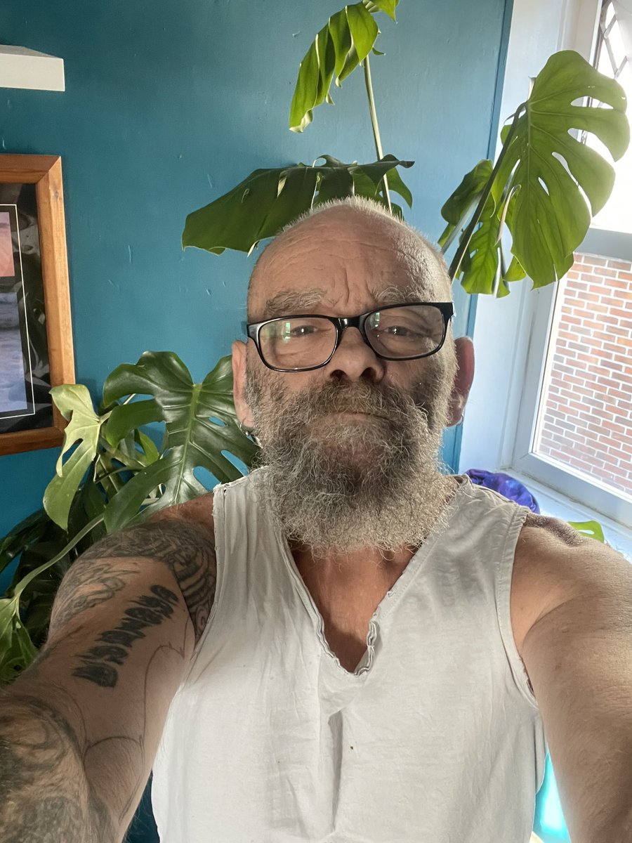 Andrew tweet media