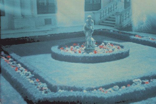 ⠀
      ❛  luminous tendril of celestial wish

          (whying diminutive bright deathlessness
          to these my not themselves believing eyes
          adventuring,enormous nowhere from)

                                      #𝐰𝐫𝐢𝐭𝐭𝐞𝐧𝐛𝐲𝐥𝐞𝐬𝐥𝐢𝐞 
⠀