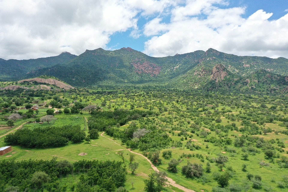 WFP_Chad's tweet photo. 15 hectares dont nous sommes fiers. A Mongo, la forêt de Tabo et sa mare pastorale ont été implantées grâce à un projet du Gouvernement financé par @BMZ_Bund 🇩🇪 Dans cette zone de transhumance, le sol initialement aride &amp; dégradé est désormais recouvert d’arbres verdoyants. https://t.co/JDeLUQtzLk