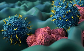 Diego Sánchez <a href="/DIEGOSA19456287/">DSánchez-Martínez</a>, ARAID en <a href="/IISAragon/">IIS Aragón</a>, participa en la Noche de la #Investigación <a href="/NocheResearcher/">La Noche de la Investigación</a>, con la charla "Terapia CAR-T: Modificando nuestras células para eliminar el cáncer" 

📆27 sept, 19 a 20 h
🌏@caixaforum #Zaragoza Cafetería

lanochedelainvestigacion.com/sede/zaragoza/