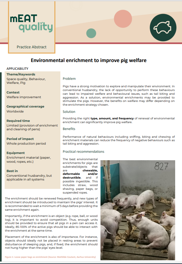 mEATqualityEU's tweet photo. Check out our first Practice Abstract on Environmental enrichment to improve pig welfare! https://t.co/R7GSt4kMKA
Keep an eye on our updates - more Practice Abstracts to follow shortly! https://t.co/lSnid5zsC0