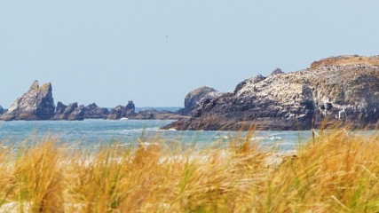 Cambridge Prisms (@cambridgeprisms) on Twitter photo CALL FOR PAPERS!
Submit to the #CPCoastalfutures special issue on Transdisciplinary Science for Near-future Habitable Coasts, linked to <a href="/igc2024dub/">@IGC2024Dub</a> content.
Lead Guest Editor <a href="/im_coasts/">Iris Moeller</a>.
Submission deadline: 15th Oct 2024.
Details: bit.ly/3LAWmtE
#coastal <a href="/ohaganam/">Anne Marie O'Hagan</a> CALL FOR PAPERS!
Submit to the #CPCoastalfutures special issue on Transdisciplinary Science for Near-future Habitable Coasts, linked to <a href="/igc2024dub/">@IGC2024Dub</a> content.
Lead Guest Editor <a href="/im_coasts/">Iris Moeller</a>.
Submission deadline: 15th Oct 2024.
Details: bit.ly/3LAWmtE
#coastal <a href="/ohaganam/">Anne Marie O'Hagan</a>