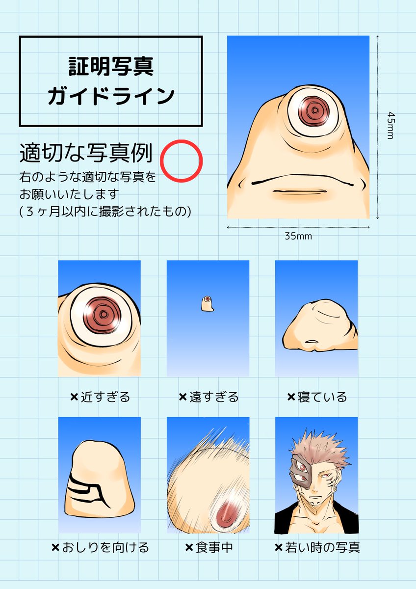 すっくん⑩
証明写真ガイドライン
※テンプレートお借りしました。