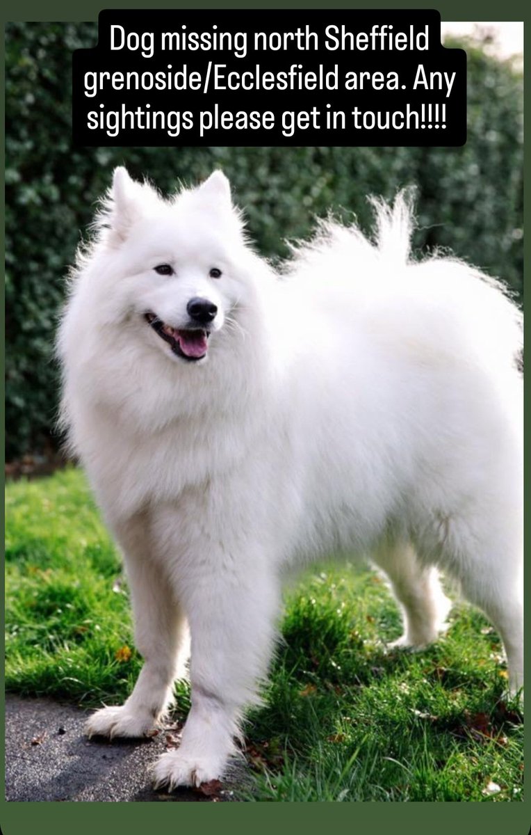 Robert Dowd (@dowdy75) on Twitter photo 