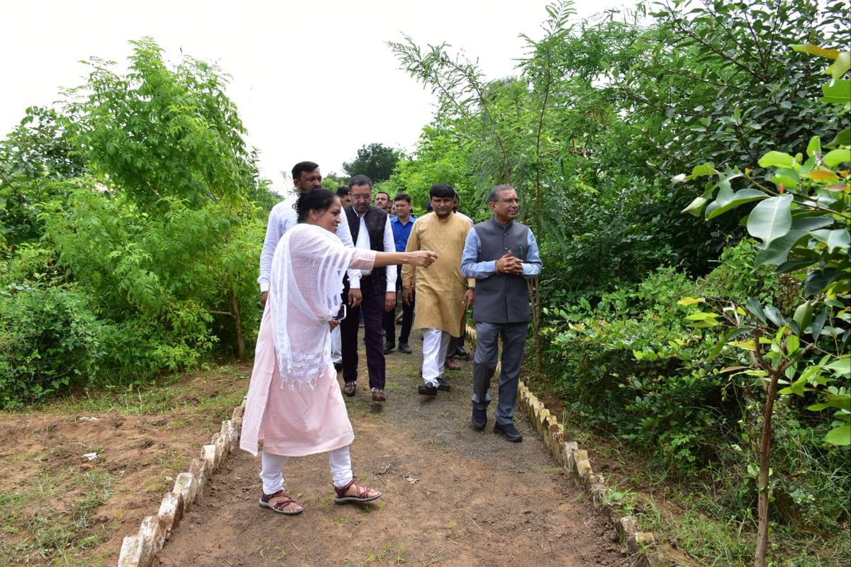 Collector and DM Anand tweet media