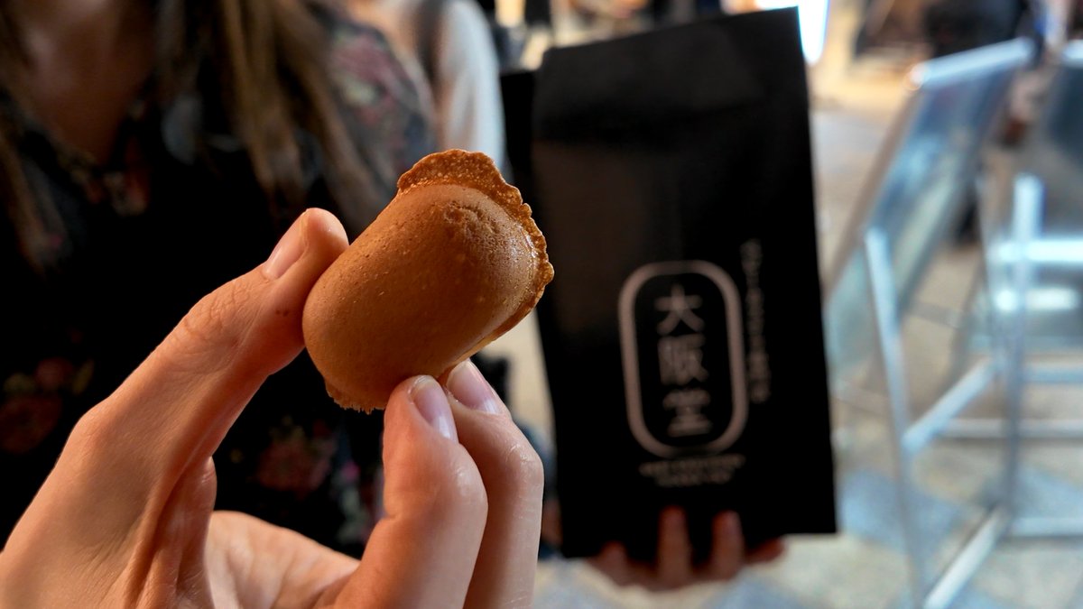 Tamago Travels tweet media