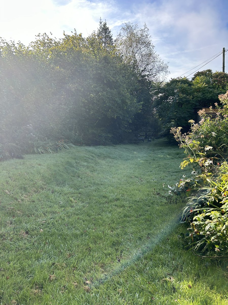 samanthaHall35's tweet image. Good Morning 🌅, blue sky 🌌 is out and it’s beautiful day, put is it during and the birds are singing, woke up to love blue sky this morning. It’s going to be beautiful day for it. Based in Brechfa #brechfa #walks #lovelywalk #wales #carmarthenshire