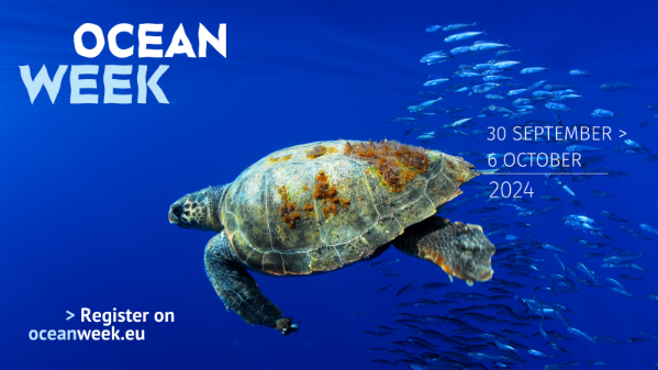 🌊 EU Ocean Week is almost here!   

From 30 Sept - the ocean will be the talk of the week among EU decision-makers 🌊💬

Join us for a full week incl. the launch of our new Blue Manifesto: Roadmap for a Healthy Ocean by 2030. 📷#EUOceanWeek

Schedule: oceanweek.eu/week-schedule