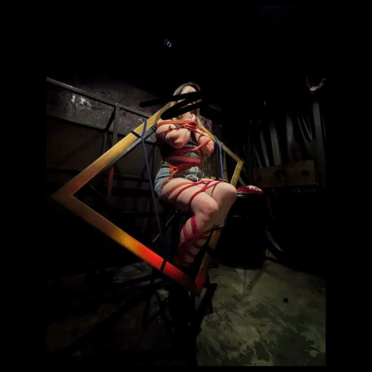 用不同的素材
呈現不一樣的你
卻一樣的美麗。
#rope #deco190 #shibari #taiwan #taipei #bondage #art #flowers #CommanderD