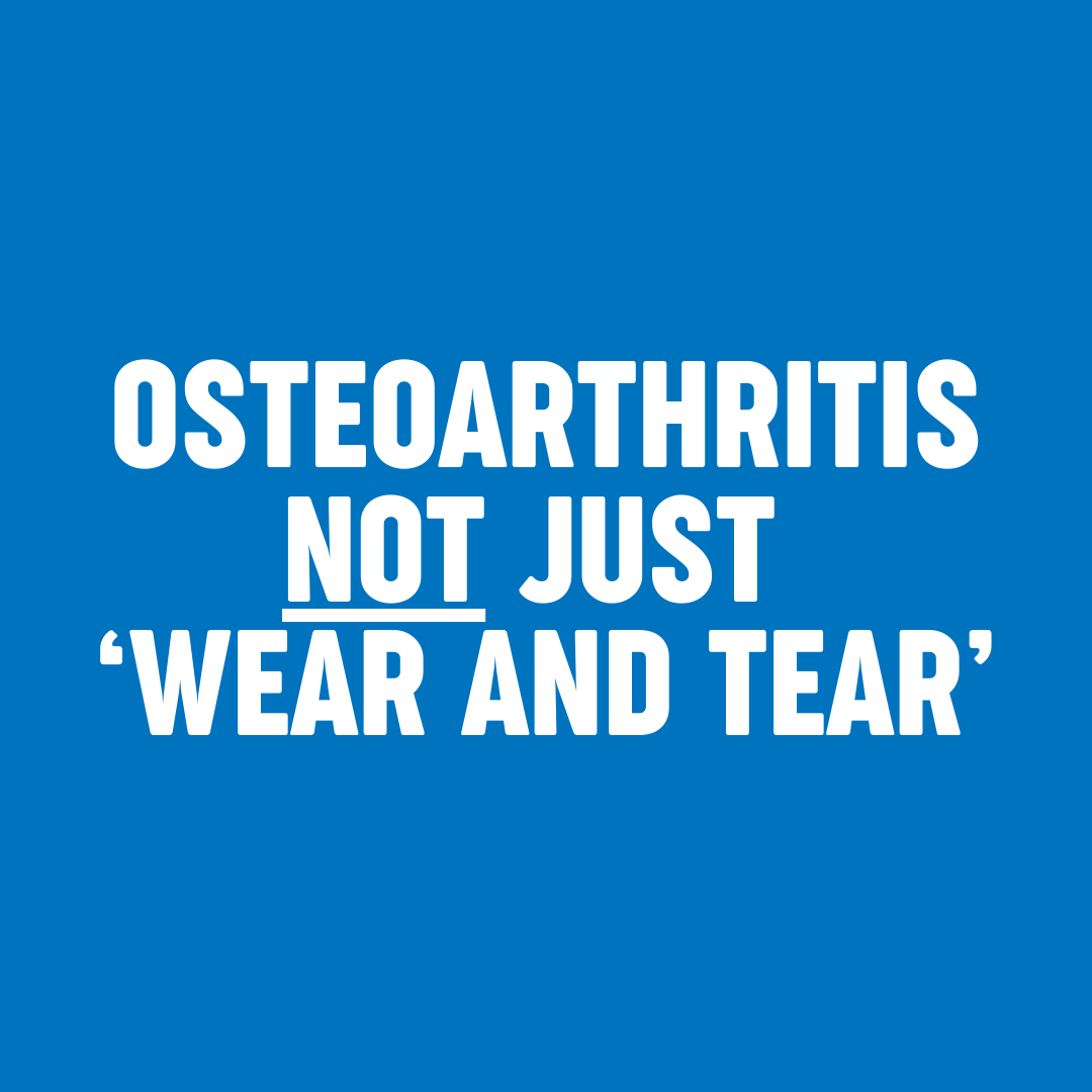 Versus Arthritis (@versusarthritis) on Twitter photo Today we're celebrating the first-ever #WorldOADay (established by Fondation Arthrose) by busting common myths as well as revisiting two decades of #osteoarthritis #research and the impact we've made. 
Discover more here: bit.ly/3MLnAOX Today we're celebrating the first-ever #WorldOADay (established by Fondation Arthrose) by busting common myths as well as revisiting two decades of #osteoarthritis #research and the impact we've made. 
Discover more here: bit.ly/3MLnAOX