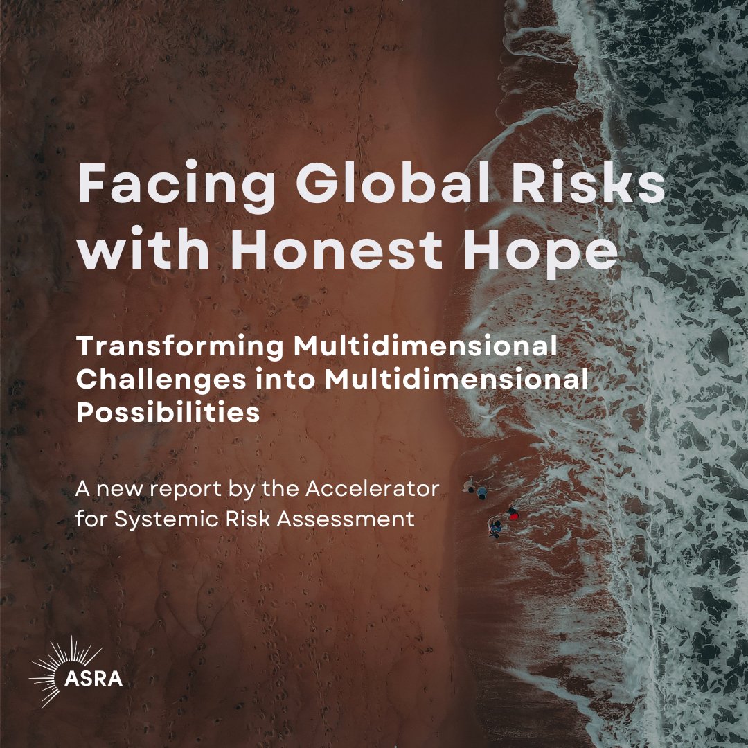 Accelerator for Systemic Risk Assessment tweet media