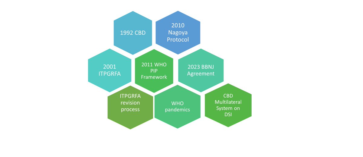 Access and #BenefitSharing policy landscape becomes increasingly complex

<a href="/PlantTreaty/">PlantTreaty</a> Working Group hears on negotiations under <a href="/WHO/">World Health Organization (WHO)</a> for a treaty on #pandemics, <a href="/UNBiodiversity/">UN Biodiversity</a> for a multilateral mechanism on DSI

Fig. by <a href="/ETsioumani/">Elsa Tsioumani</a>