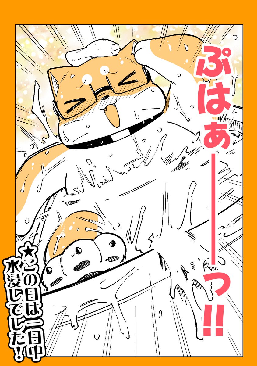 やっと家についたマンガ
#漫画が読めるハッシュタグ
(※プロフに無料マンガあるのでぜひ見てね!)
(※あとファンボにちょっとおまけあります!)
