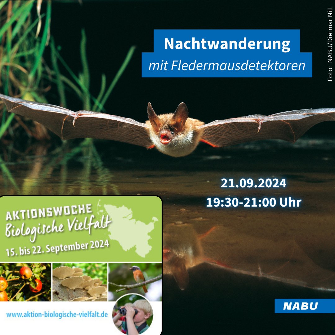 Aktuell läuft die erste "Aktionswoche Biologische Vielfalt" - wir sind dabei! 

🦇 Am Samstag wollen wir bei einer Nachtwanderung mit Fledermaus-Detektoren den nächtlichen Jägern auf die Spur kommen - bis zu 8 Arten lassen sich in unserem idyllischen Dorf entdecken. Kommt vorbei!