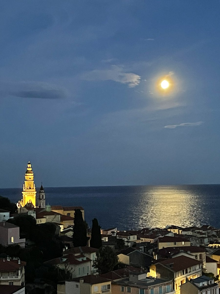 Daniel Menna 💙💛🕊🌻 tweet media