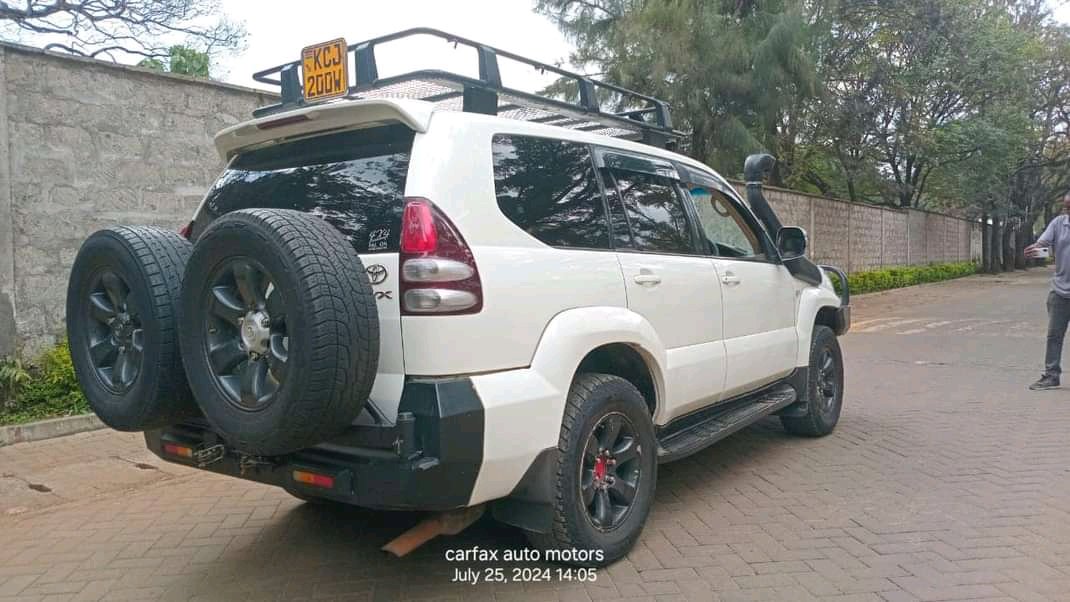 Bianca™ tweet media