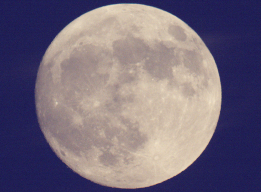 明石市立天文科学館（休館中・2026年夏再開予定） tweet media