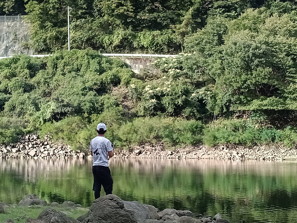tack439's tweet photo. 月曜の釣果。
釣り友さんのお誘いで久々の室生ダム。
寝不足&amp;猛暑&amp;減水。水通しも悪くて厳しい状況でも、きっちり結果が出た。
前回はこてんぱんだったのに、この日に限ってはたぶん室生で一番釣ったおっさん達。知らんけど。
楽しかった〜！
#バス釣り #50up https://t.co/cFmaQ3kobs
