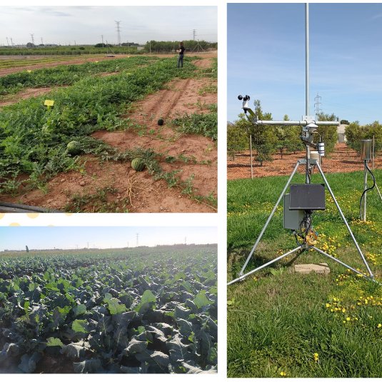 DigitalRiego's tweet image. 3⃣ Se ha desarrollado y testado un #modelo de cálculo de necesidades de riego basado en la estimación de la #evapotranspiración. El manejo de este modelo en 🥦🍉ha permitido ajustar las💧 dosis de riego y conocer el🥀 estrés del cultivo. #FEDER #RetoIvaceInnova @GVAavi