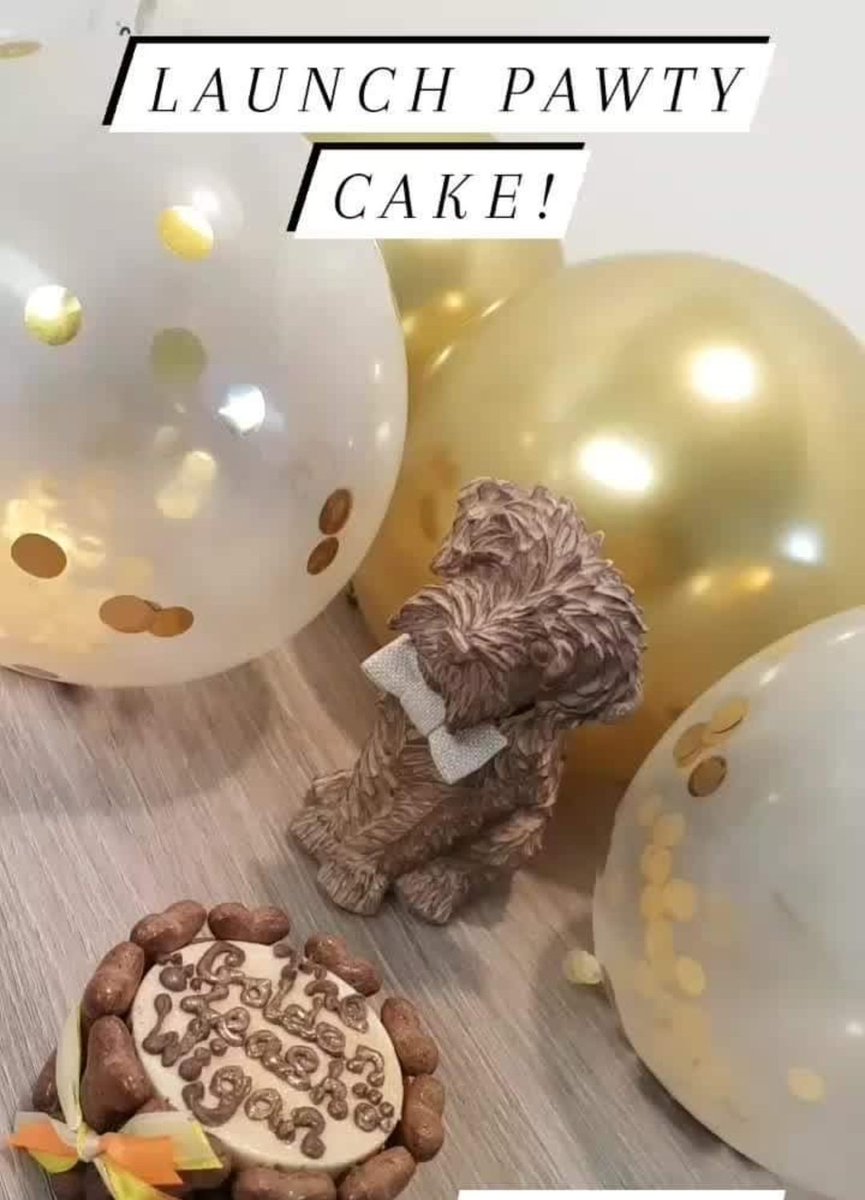 The Golden Leash Wigan Doggy Day Care tweet media