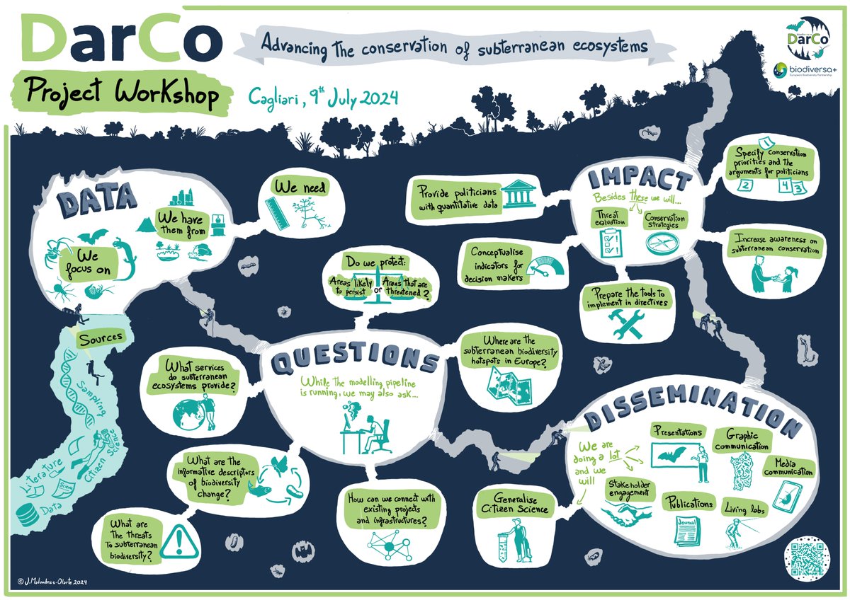 DarCo (@biodiv_darco) on Twitter photo Here’s a graphical summary of the <a href="/BiodiversaPlus/">Biodiversa+ (European Biodiversity Partnership)</a> DarCo project stemming from our midterm meeting!
Thanks to @jago_MO for attending the workshop and beautifully capturing all the free-flowing ideas in such a clear illustration! Here’s a graphical summary of the <a href="/BiodiversaPlus/">Biodiversa+ (European Biodiversity Partnership)</a> DarCo project stemming from our midterm meeting!
Thanks to @jago_MO for attending the workshop and beautifully capturing all the free-flowing ideas in such a clear illustration!