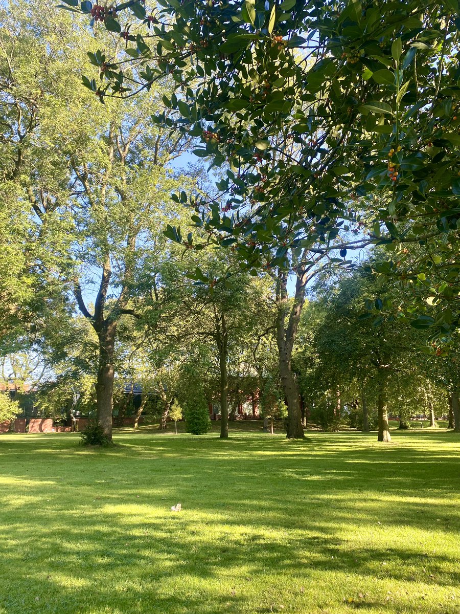 _HannahCross's tweet image. Pre #ManCAD CAPers conference quiet time this morning 😌🌲