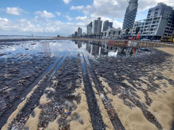 JonathanBerim's tweet photo. CONTAMINACIÓN: El Ministerio del Interior prohíbe bañarse en las playas de Tel Aviv y Herzliya. Luego de las primeras lluvias de la temporada, las playas se llenaron de: peces muertos, alquitrán y una cantidad importante de desechos cloacales. #CuidaranMiMundo https://t.co/voJs90VTUW