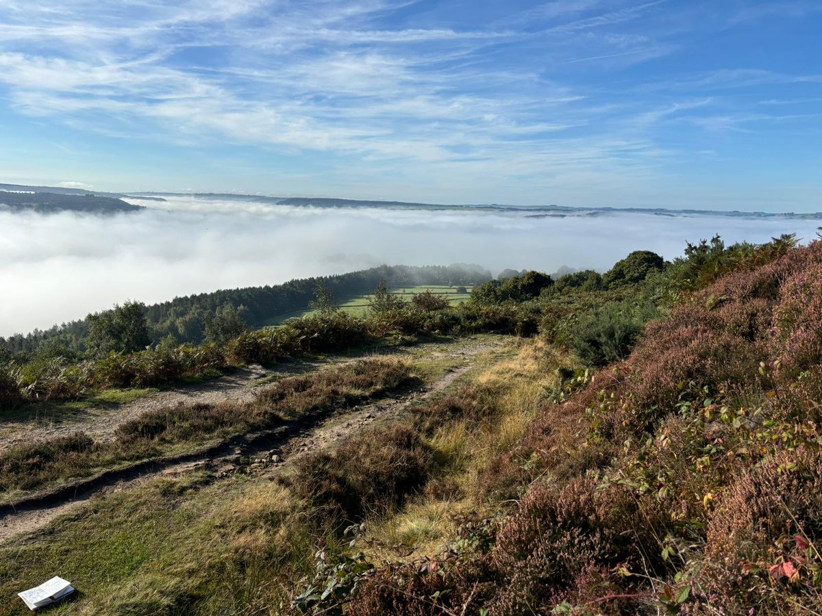 KTS DofE tweet media