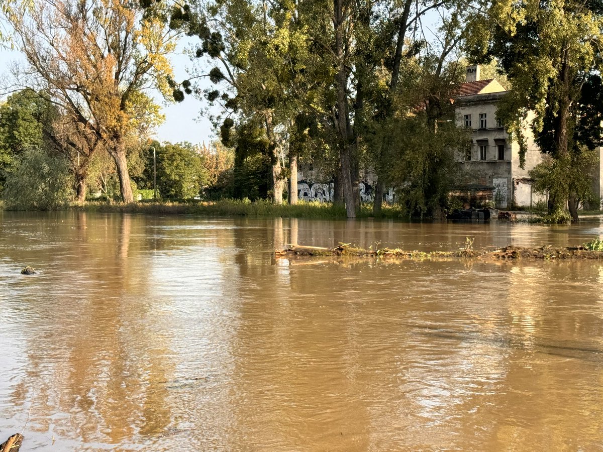 toczkooczko tweet media