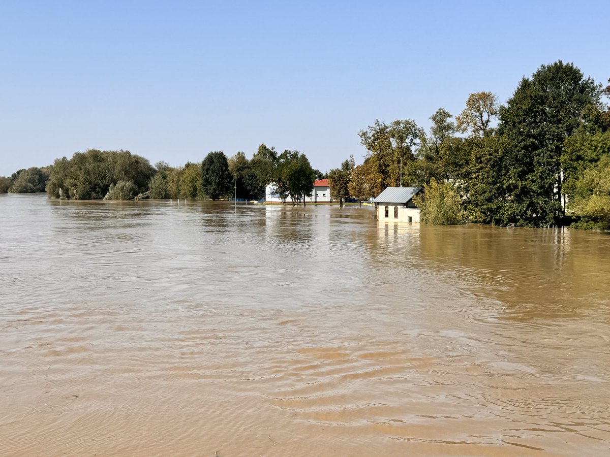 toczkooczko tweet media