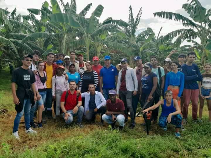 UJCdeCuba's tweet photo. Nuestra juventud comprometida se suma a las labores de producción de alimentos y así lo demostraron un grupo de muchachos de #Camaguey, quienes realizaron un trabajo productivo en la UEB Victoria 1, en la limpieza del plátano. 
#UJCdeCuba #Cuba 
#CubaInspira 
@MeyvisEstevezE https://t.co/TBMlpZQN6Z